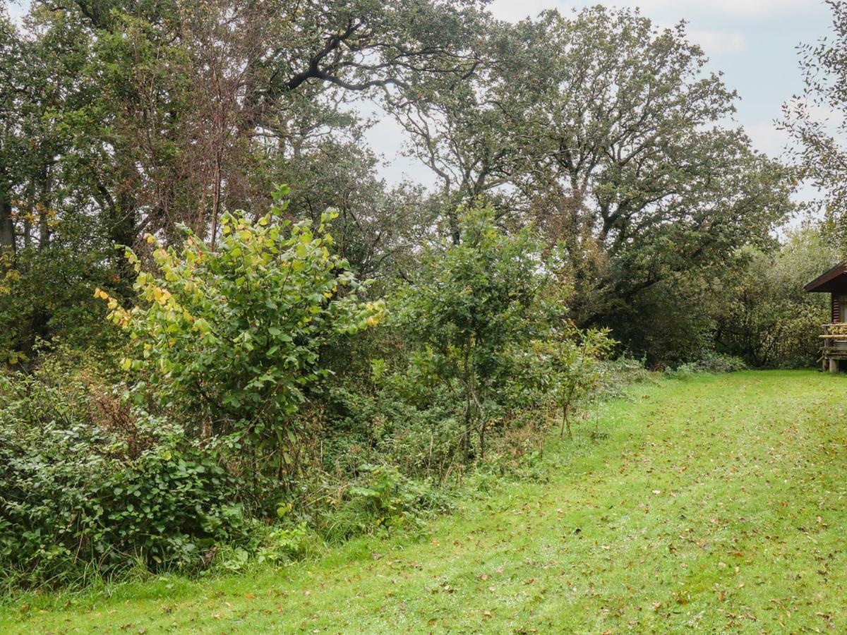 Braeburn Lodge Winkleigh Buitenkant foto