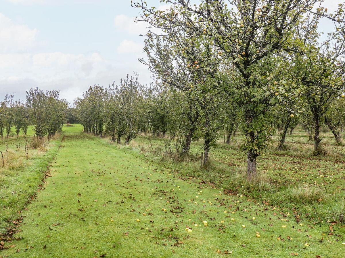 Braeburn Lodge Winkleigh Buitenkant foto